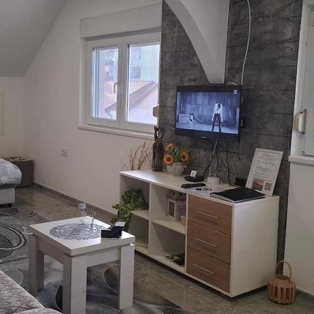 Apartments Ivanovic Center City Bajina Basta Eksteriør billede